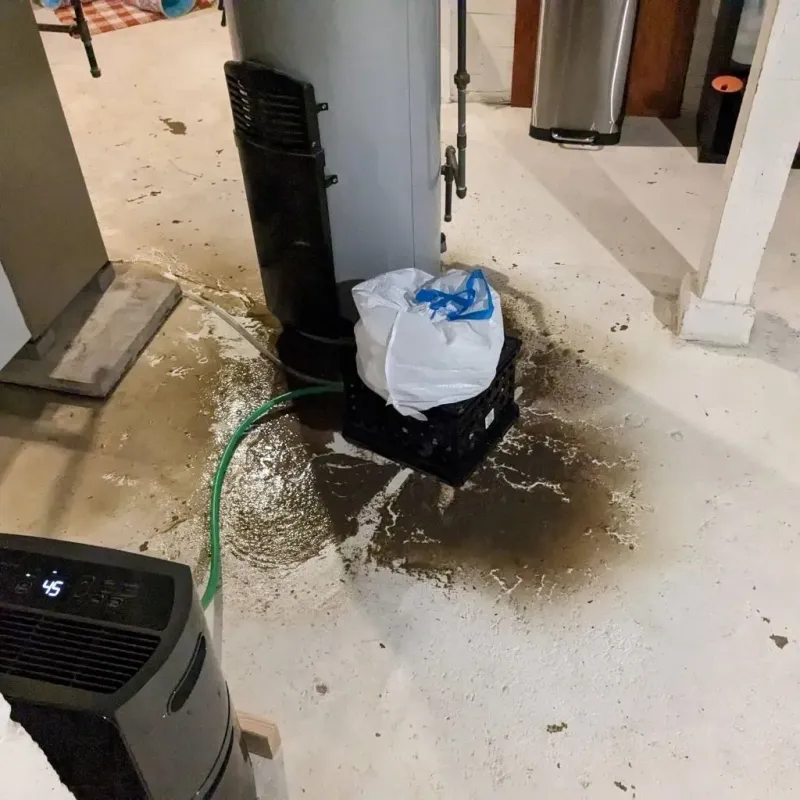 Sewage Backup Cleanup Service in Junction City, KY
